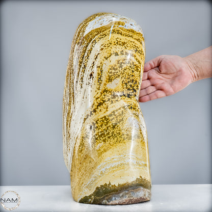 Natürliche Gebänderte Ocean Achat Kristall-Freiform - 19100,43g