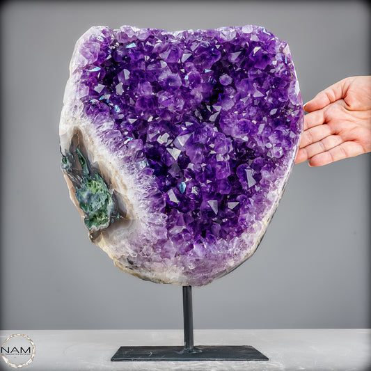 Natürliche Amethyst-Kristalle/Druse auf Ständer - 11153,02g