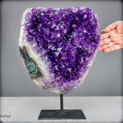 Natürliche Amethyst-Kristalle/Druse auf Ständer - 11153,02g