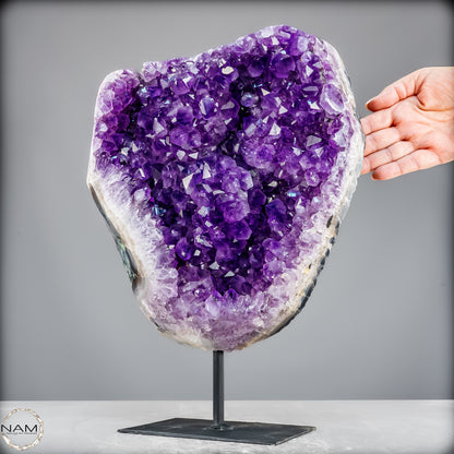 Natürliche Amethyst-Kristalle/Druse auf Ständer - 11153,02g
