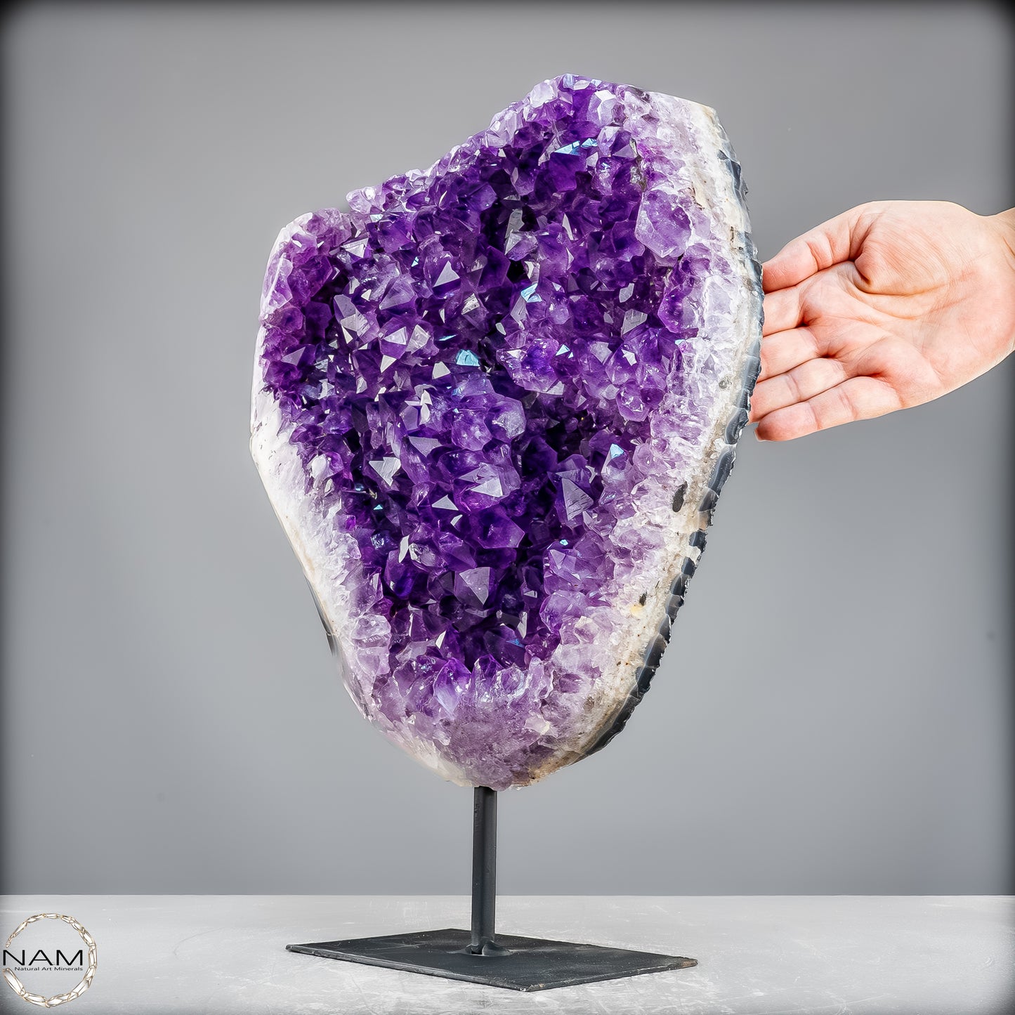 Natürliche Amethyst-Kristalle/Druse auf Ständer - 11153,02g