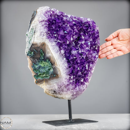 Natürliche Amethyst-Kristalle/Druse auf Ständer - 11153,02g