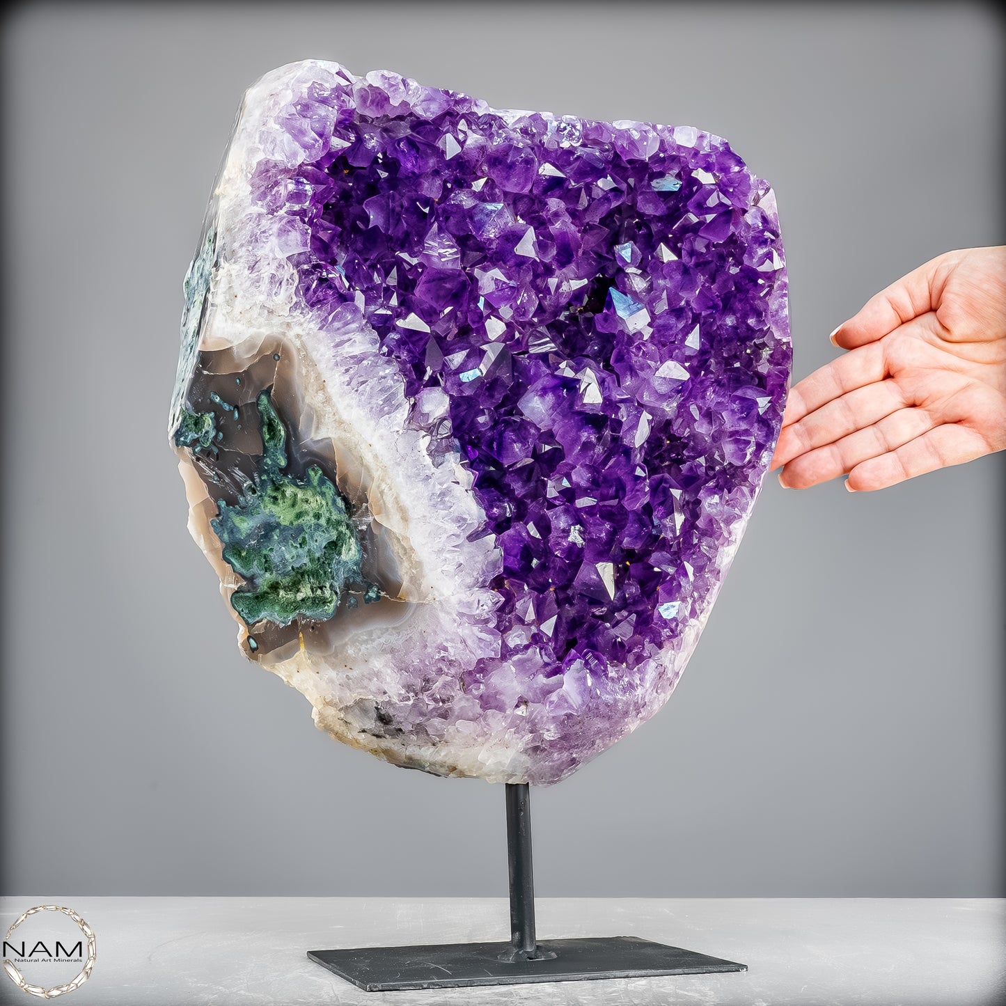 Natürliche Amethyst-Kristalle/Druse auf Ständer - 11153,02g
