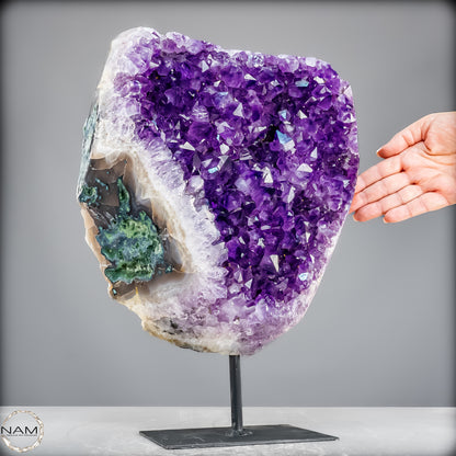 Natürliche Amethyst-Kristalle/Druse auf Ständer - 11153,02g