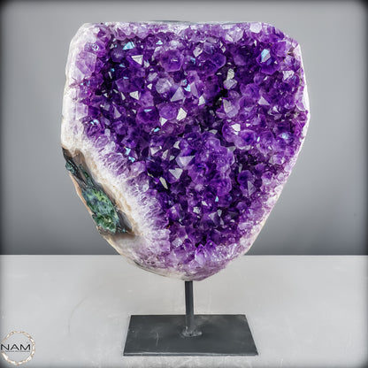 Natürliche Amethyst-Kristalle/Druse auf Ständer - 11153,02g