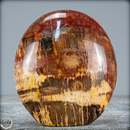 Natürliche Kristall-Freiform aus Versteinertem Holz  - 934,88g