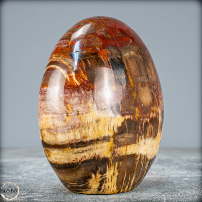 Natürliche Kristall-Freiform aus Versteinertem Holz  - 934,88g