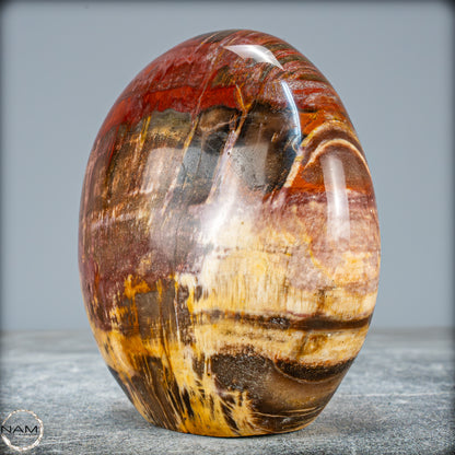 Natürliche Kristall-Freiform aus Versteinertem Holz  - 934,88g