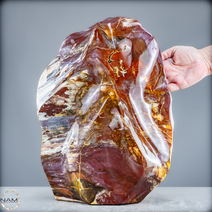 Natürliche Kristall-Flamme aus Versteinertem Holz  - 21200,48