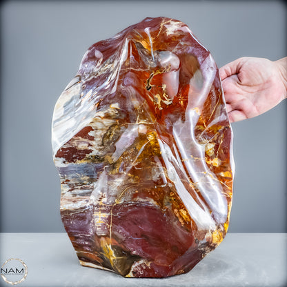 Natürliche Kristall-Flamme aus Versteinertem Holz  - 21200,48