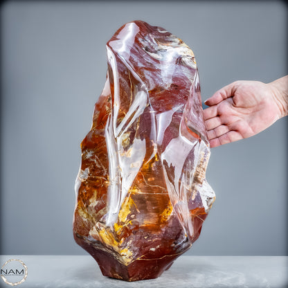 Natürliche Kristall-Flamme aus Versteinertem Holz  - 21200,48