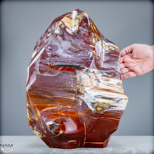 Natürliche Kristall-Flamme aus Versteinertem Holz  - 21200,48