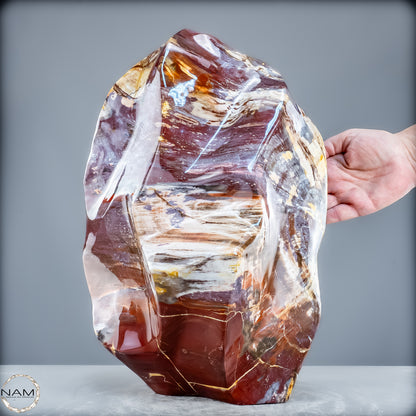 Natürliche Kristall-Flamme aus Versteinertem Holz  - 21200,48