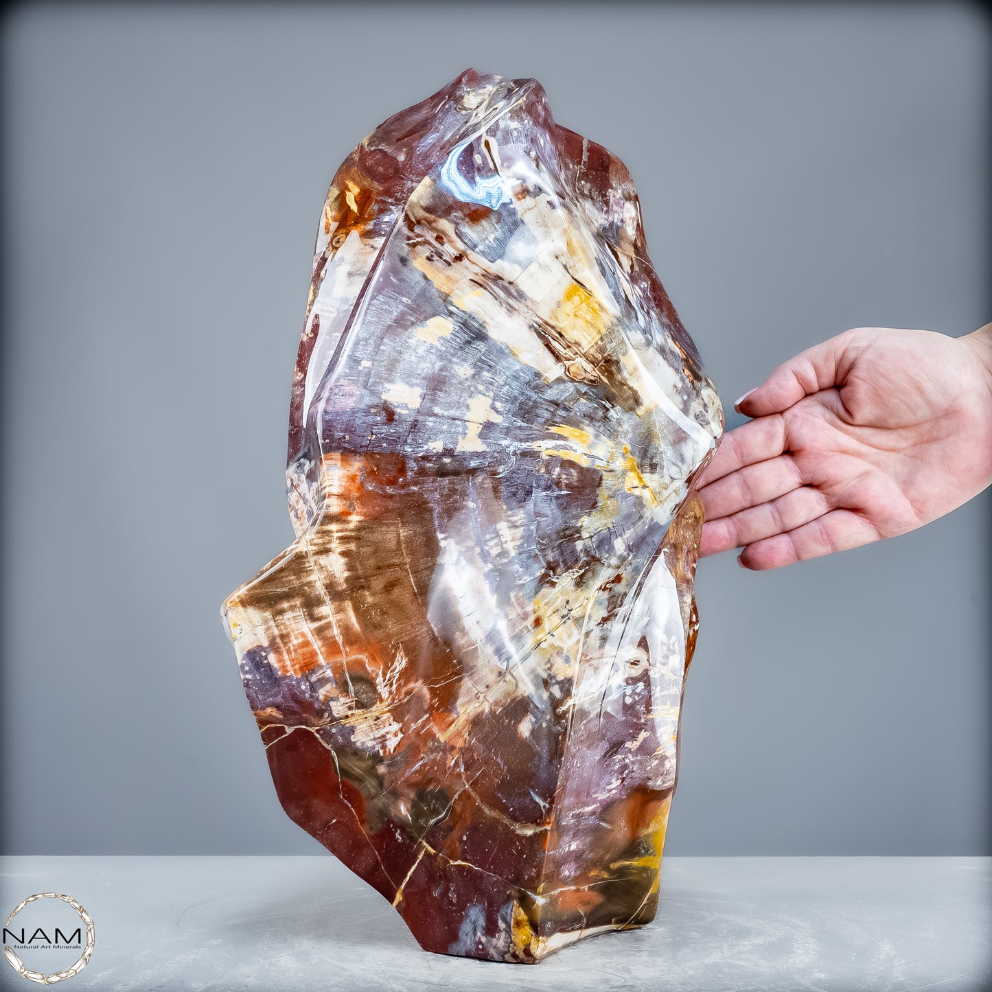 Natürliche Kristall-Flamme aus Versteinertem Holz  - 21200,48