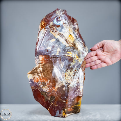 Natürliche Kristall-Flamme aus Versteinertem Holz  - 21200,48