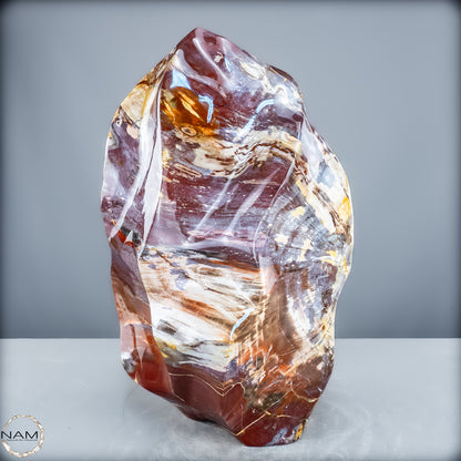 Natürliche Kristall-Flamme aus Versteinertem Holz  - 21200,48