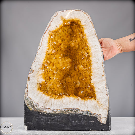 Große AAA++ Citrin-Quarz Druse, Brazil - 31432,76g