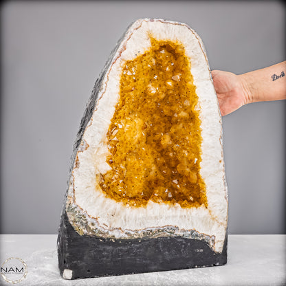 Große AAA++ Citrin-Quarz Druse, Brazil - 31432,76g