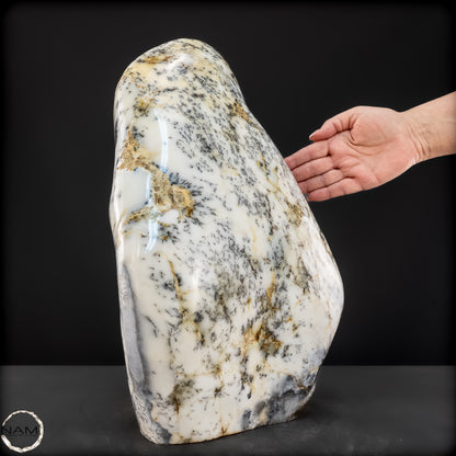 Seltener Natürliche Opalesierte Achat Freiform - 14163,41g