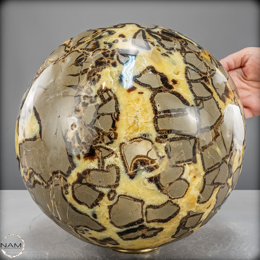 Große Natürliche Septarien Kugel - 24615,56g