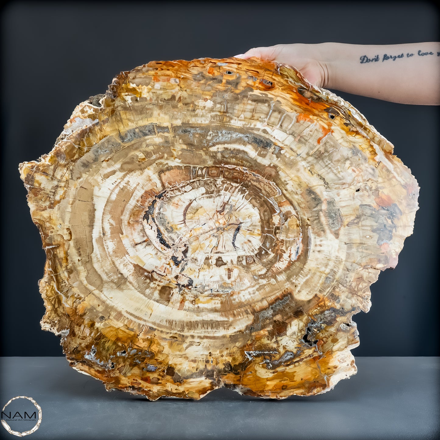 Natürliche Versteinerte Holz Kristall-Scheibe aus Arizona - 14800,61g