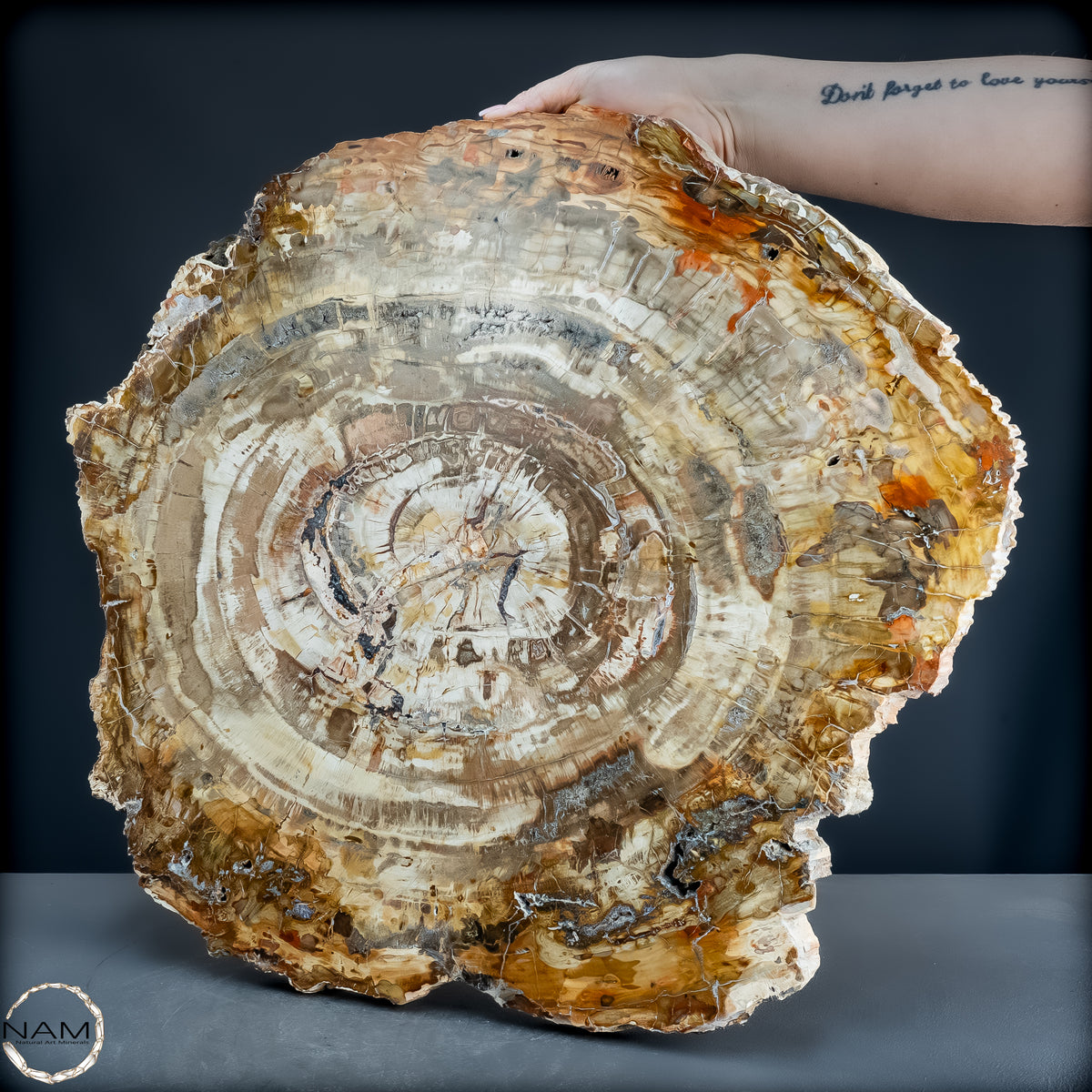 Natürliche Versteinerte Holz Kristall-Scheibe aus Arizona - 14800,61g