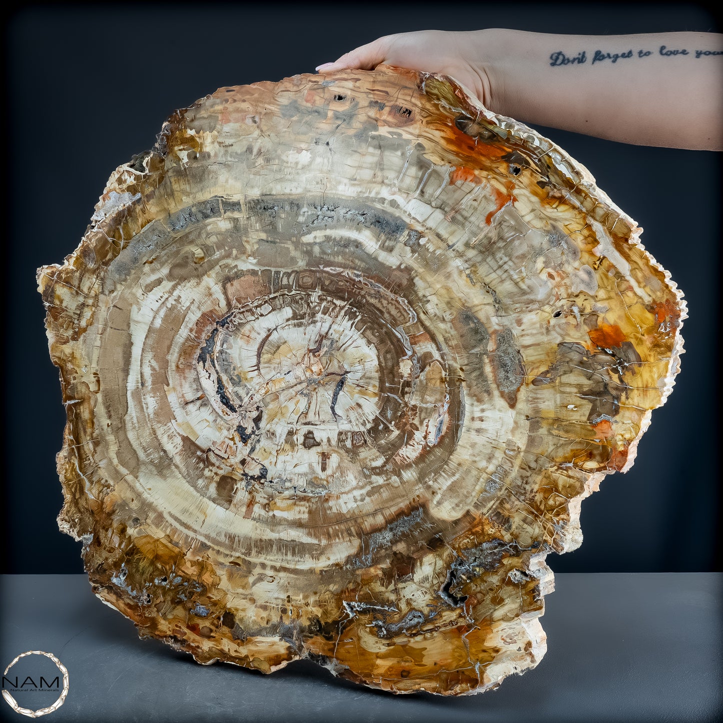 Natürliche Versteinerte Holz Kristall-Scheibe aus Arizona - 14800,61g