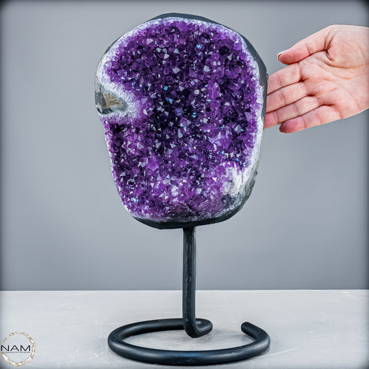 Natürliche Amethyst-Kristalle/Druse auf Ständer - 5488,37 g