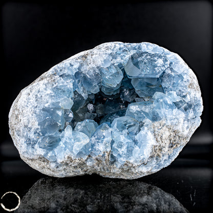 Natürliche Celestit Kristall-Druse - 6161,33g