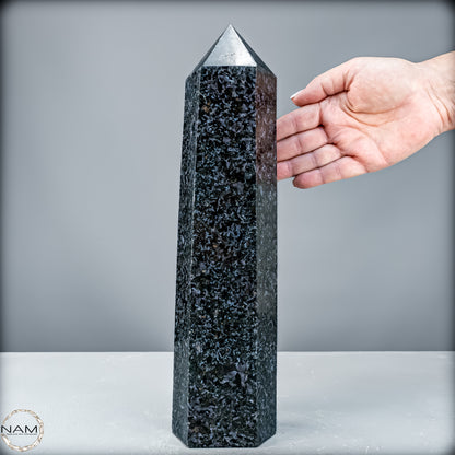 Natürlicher Merlinit (Gabbro) Kristall Obelisk - 3988,47 g