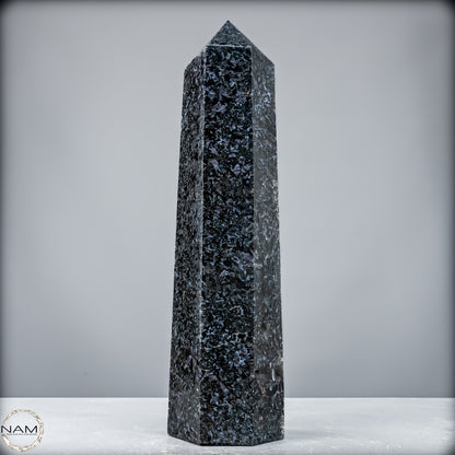 Natürlicher Merlinit (Gabbro) Kristall Obelisk - 3988,47 g