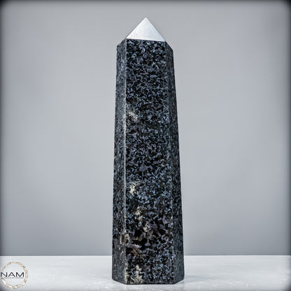 Natürlicher Merlinit (Gabbro) Kristall Obelisk - 3988,47 g