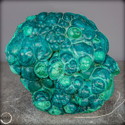 Natürlicher Botryoidaler Chrysokolla und Malachit, sehr selten - 11178,12g