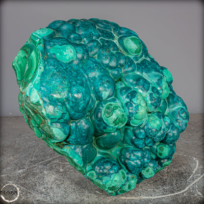 Natürlicher Botryoidaler Chrysokolla und Malachit, sehr selten - 11178,12g