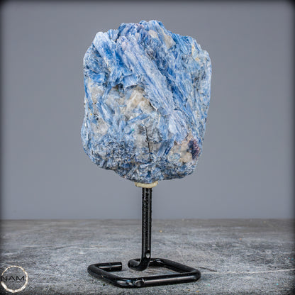 Natürlicher Kyanit-Kristall Cluster auf Ständer aus Brasilien - 914,93g