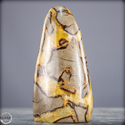 Natürliche Septarien-Kristall Freiform - 985,12g