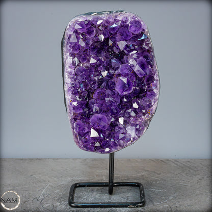 Natürliche Amethyst-Kristalle/Druse auf Ständer - 4520,21g