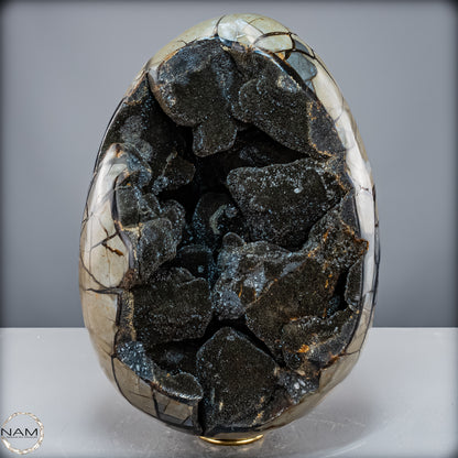 Natürliche Septarien Druse mit Calzit Kristallen, Spitzenqualität - 23280,77 g