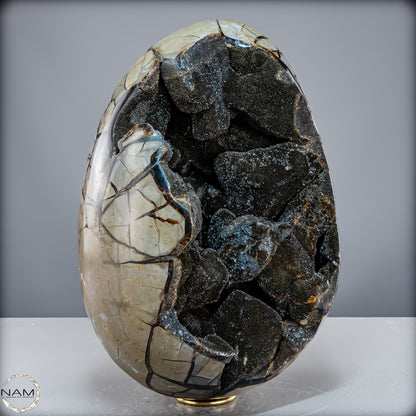 Natürliche Septarien Druse mit Calzit Kristallen, Spitzenqualität - 23280,77 g