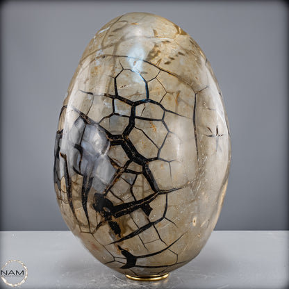 Natürliche Septarien Druse mit Calzit Kristallen, Spitzenqualität - 23280,77 g