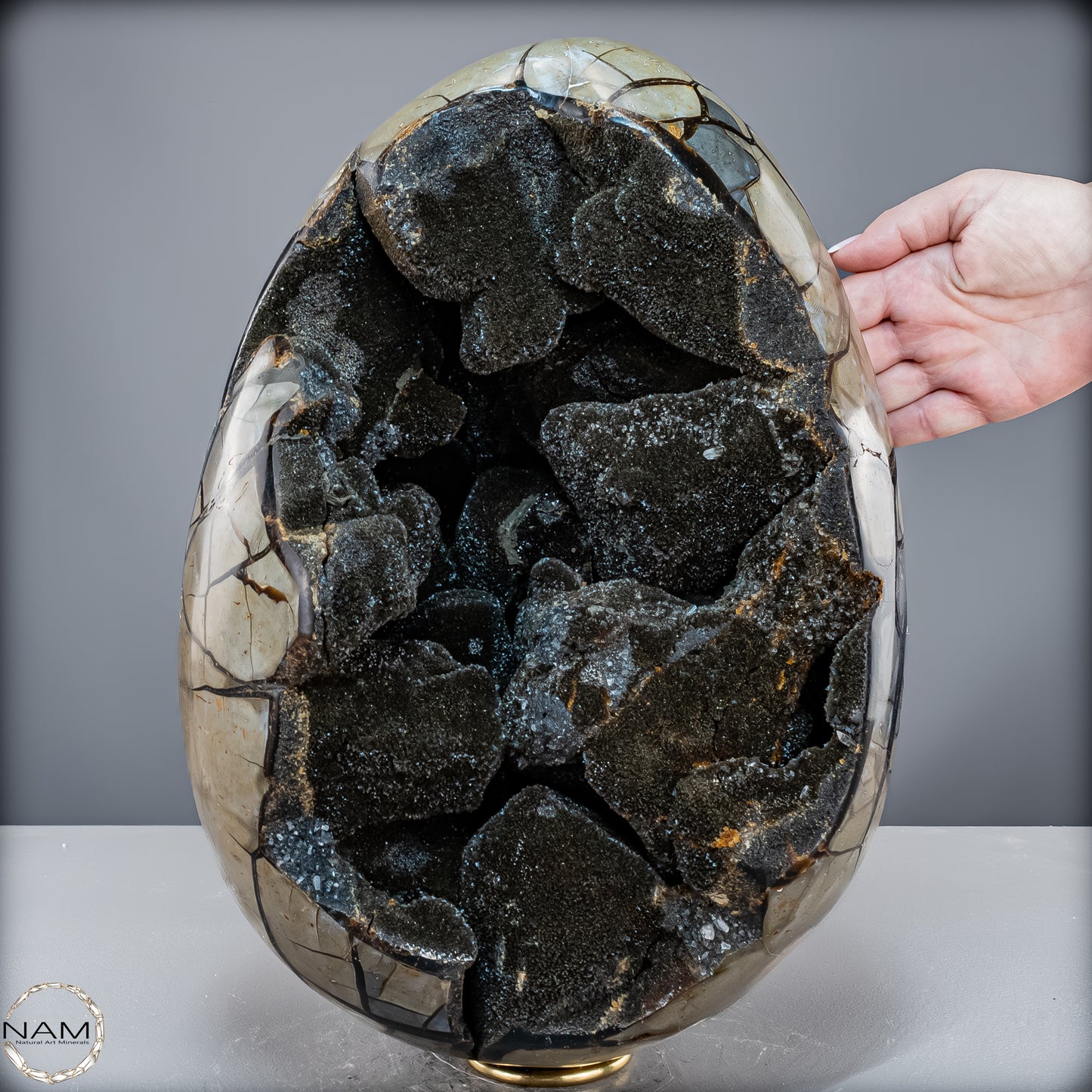 Natürliche Septarien Druse mit Calzit Kristallen, Spitzenqualität - 23280,77 g