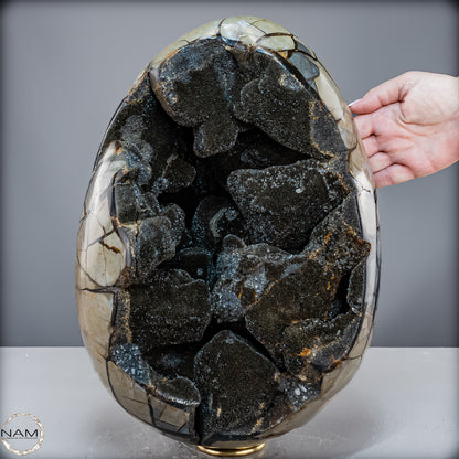 Natürliche Septarien Druse mit Calzit Kristallen, Spitzenqualität - 23280,77 g