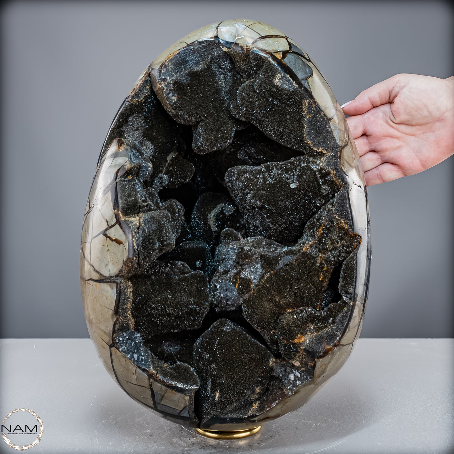 Natürliche Septarien Druse mit Calzit Kristallen, Spitzenqualität - 23280,77 g