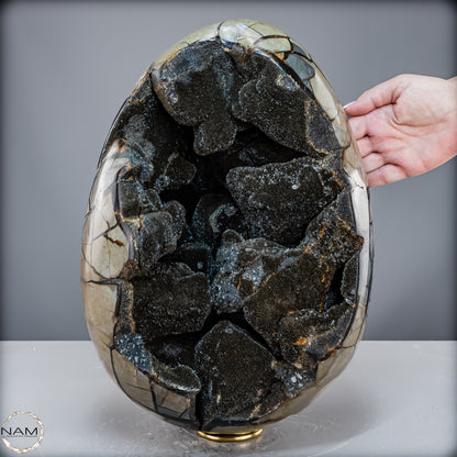 Natürliche Septarien Druse mit Calzit Kristallen, Spitzenqualität - 23280,77 g