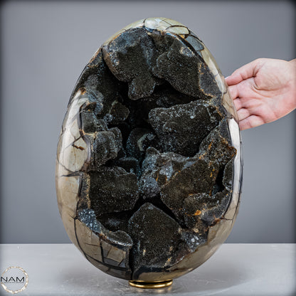 Natürliche Septarien Druse mit Calzit Kristallen, Spitzenqualität - 23280,77 g