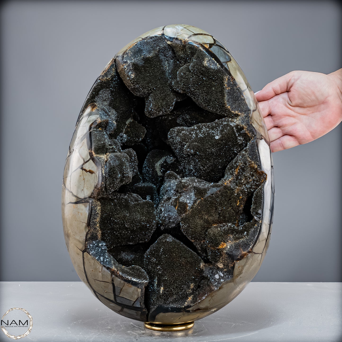 Natürliche Septarien Druse mit Calzit Kristallen, Spitzenqualität - 23280,77 g