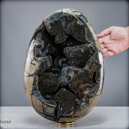 Natürliche Septarien Druse mit Calzit Kristallen, Spitzenqualität - 23280,77 g