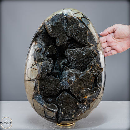 Natürliche Septarien Druse mit Calzit Kristallen, Spitzenqualität - 23280,77 g