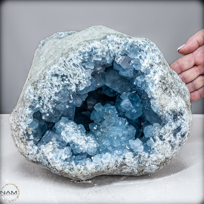 Natürliche Celestit Kristall-Druse - 11469,33 g