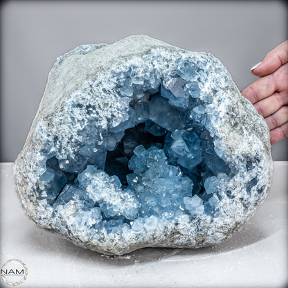 Natürliche Celestit Kristall-Druse - 11469,33 g